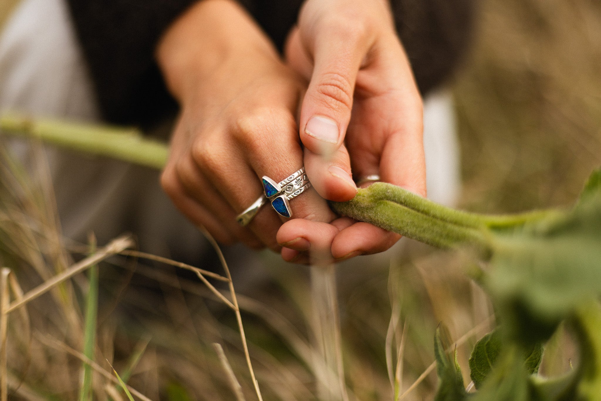 Close-up of hands holding a plant with rings on fingers against a natural background