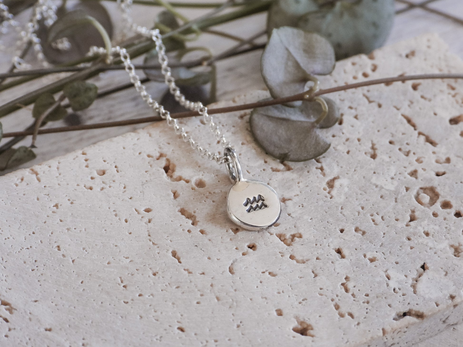 Silver Aquarius necklace with a round pendant on a textured surface with dried leaves.