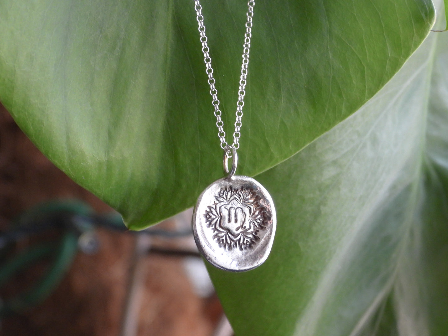 Silver virgo necklace with a round pendant on a green leaf background